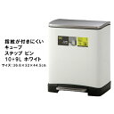 ゴミ箱 ふた付き ペダル式 分別 10L+9L ステンレス ごみ箱