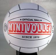 ミニバレー/ボール MINI-VB-10SET...:volleyball-assist:10000449