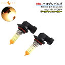 ハロゲン バルブ ランプ HB4/9006 12V 55W ...