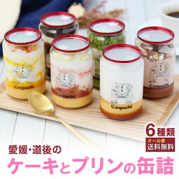 [愛媛 道後] ケーキとプリンの<strong>缶詰</strong>6点セット (6種類) Canpachi 特製 プリンと 手作り ケーキ缶 愛媛県産 <strong>缶詰</strong> 要冷凍 お取り寄せ 詰め合わせ スイーツ カンパチ 女性 誕生日 母の日 プレゼントに