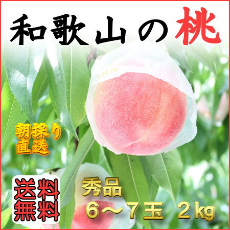 送料無料！朝採り直送！こだわりの美味しい桃　和歌山田中農園の桃　秀品2kg　6玉〜7玉　品…...:w-tanakanouen:10000007