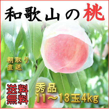 送料無料！　朝採り直送！こだわりの美味しい桃　和歌山田中農園の桃　秀品4kg　10玉〜15…...:w-tanakanouen:10000006