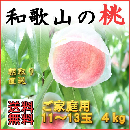 送料無料!【わけあり 訳あり】 朝採り直送!こだわりの美味しい桃 和歌山田中農園の桃 4kg 10玉?15玉 品種選べます ご自宅用に最適 予約販売【05P29Jul16】