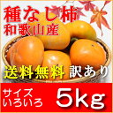 【送料無料】和歌山田中農園のたねなし柿 訳あり5kg サイズ...
