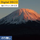 【壁紙】クロス【のり無し壁紙】リリカラ デジタル・デコ 黄昏の残照 塩ビフラット Jサイズ__d8104tj