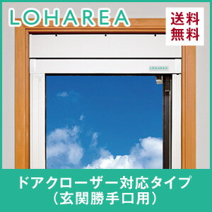 網戸 プリーツ網戸 LOHAREA ドアクローザー対応タイプ　玄関・勝手口用【網戸/あみ戸/あみど/アミド/オーダー/サイズ指定/diy/エクステリア】__loharea-dc