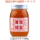 はちみつ 国産 (蜂蜜 ハチミツ)600...