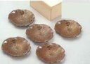 126-04 茶托 蓮にカエル5客組(桐箱入)【高岡銅器】