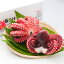 【送料無料】明石市特産品 蛸 釜あげ明石だこ(中2尾 約950g) / お取り寄せ 通販 お土産 お祝い ホワイトデー /