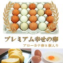 《プレミアム市場》【送料無料】島根県 生卵 しまづの「こだわり」卵セット(赤卵32個アローカナの卵8個入り) 【代引き不可】贈答用/濃厚/高級たまご/新鮮たまご/卵かけご飯/青い卵/お取り寄せ/通販/お土産/ギフト/母の日/父の日/お祝い/