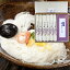 【送料無料】そうめん 慈光院石州麺(石州麺160g×6、麺つゆ×10)SMT-50 /お取り寄せ/通販/お土産/お祝い/