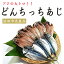 ★月曜から夜ふかしで紹介★【送料無料】島根県 香住屋 どんちっちあじ一夜干し 約1000g /どんちっちアジ/干物/浜田/どんちっち/マツコ/お取り寄せ/通販/お土産/お祝い/