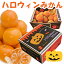 【送料無料】熊本県産 ハロウィンみかん 約2kg 特選(M〜2Sサイズ / 約20〜30玉)」〈期間限定:〜10月末〉ミカン/蜜柑/みかん/お取り寄せ/通販/お土産/お祝い/お歳暮/御歳暮/