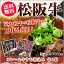 【送料無料】三重県 松阪牛カレー&松阪牛すじみそ煮セット(松阪カレー1個、松阪牛すじみそ煮1個)(まつざかうし)/三大和牛/ご当地カレー/お取り寄せ/通販/お土産/お祝い/お歳暮/御歳暮/