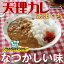 【送料無料】奈良県 「天理カレー(あまくち) 10個セット」/お取り寄せ/通販/お土産/お祝い/残暑見舞い/残暑お見舞い/敬老の日ギフト/