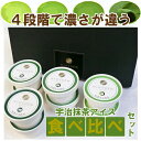 ★食べ比べセット★【送料無料】京都 プレミアム宇治抹茶アイス『抹茶濃淡詰合せ』 8個セット/アイスクリーム/和スイーツ/お取り寄せ/通販/お土産/お祝い/残暑見舞い/残暑お見舞い/敬老の日ギフト/