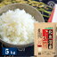 30年産 新潟県北魚沼産こしひかり 5kg 精米【送料無料】/白米/おいしいお米/コシヒカリ/お取り寄せ/通販/お土産/お祝い/お歳暮/御歳暮/