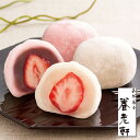 京都 養老軒 博多あまおう まるごと苺大福 YF-ADO【送...