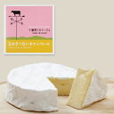 【送料無料】北海道チーズ なかさつないカマンベールチーズ(120g)×4 / お取り寄せ 通販 お土産 お祝い プレゼント ギフト お中元 おすすめ /