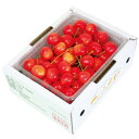 山形県産 さくらんぼ 約500g 【送料無料】【二重包装不可】【日付指定不可】 / フルーツ 果物 お取り寄せ 通販 お土産 お祝い お中元 御中元 プレゼント ギフト /