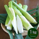 マコモタケ 生 1kg Lサイズ 岡山県里庄産 無農薬栽培 〈期間限定:9月末〜12月末〉 【送料無料】 / 国産 まこもたけ 野菜 お取り寄せ 通販 お土産 お祝い プレゼント ギフト お歳暮 御歳暮 おすすめ /