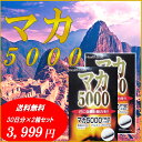 送料無料 マカ5000 60粒 約30日分 2箱セット マカ 5000mg 亜鉛 6mg アルギニン 50mg 配合サプリ【送料無料 (沖縄・離島除く)】