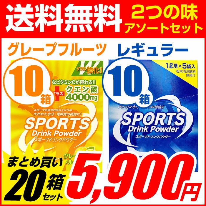 スポーツドリンク 粉末(パウダー)1L用×100回分 レギュラー(5袋入)×10箱+グレープフルーツ味1L用(5袋入)×10箱 2つの味アソートセット 送料無料 大容量 熱中症対策 ミネラル 甘すぎない まとめ買い【送料無料 (沖縄・離島除く)】