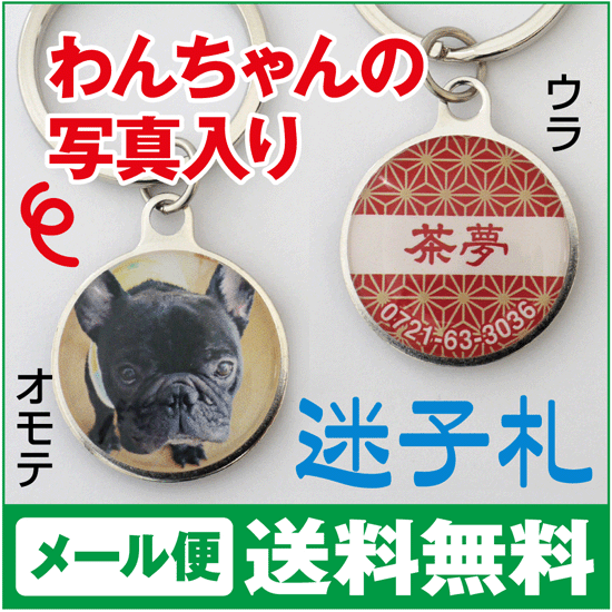 【迷子札】【ドッグタグ】犬、猫、ペットの写真入り迷子札【メール便送料無料】