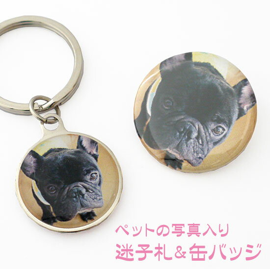 犬、猫、ペットの写真入り迷子札と缶バッジ（お得なセット）【メール便可】【名入れ】...:wagumi:10000466