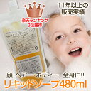 7月限定2450円→2200円!!木酢ヘア&ボディーソープ(全身用液体石鹸)480mL詰替用乾燥肌・頭皮・水イボ・敏感肌・子供・無鉱物油【郵便不可】【1本レターパック全国510円OKお届け方法で要選択】まとめ割適用