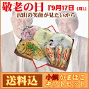 【敬老の日】小鯛かまぼこギフトセット【送料込・ネット限定】