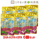 【 送料無料 】広貫堂 DHA EPA DPA レスベラトロール 6個セット | イチョウ葉エキス イチョウ葉 トランス脂肪酸ゼロ 青魚マグロ まぐろ サプリ 在宅ワーク 免活 テレワーク 魚不足 オメガ3 ドコサヘキサエン酸 ビタミンe タブレット 健康サプリ フィッシュオイル