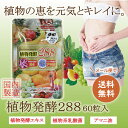【 送料無料 】植物発酵288 | フルーツ 植物発酵エキス...