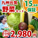 野菜　九州元気野菜セット 野菜 野菜セット 九州 西日本 送料無料 安心 安全 野菜生活 野菜ジュース 卵