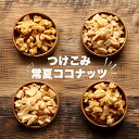 【訳あり】 お試し! つけこみ常夏ココナッツ 4種類セット ...