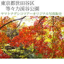 日本紀行 東京都世田谷区 等々力渓谷公園 (nk13-161126-117) 当店オリジナル写真販売 Photo frame, Todoroki Valley park