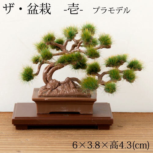 y2ŔzɂzUE~́@vX`bNfLbg@--@1:12XP[vf@Bonsai plastic model kit