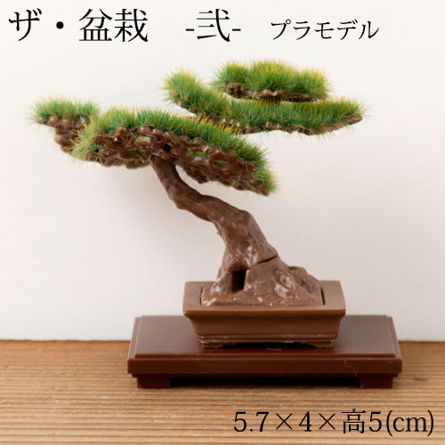 y2ŔzɂzUE~́@vX`bNfLbg@--@1:12XP[vf@Bonsai plastic model kit