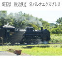 インテリア写真額縁 秩父鉄道 SLパレオエクスプレ