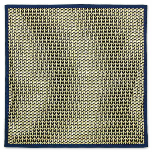 Ϥ90cmʡäϤߡͶҤ꤬͡