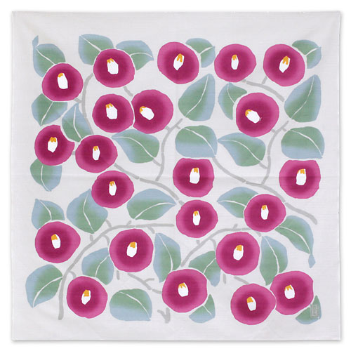 Ϥ90cmͶҡݵ̴ͶϤߤĤФۥ磻ȥ졼