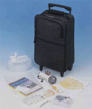 ư¿11åȡ꡼Хåɺҥåȡ11