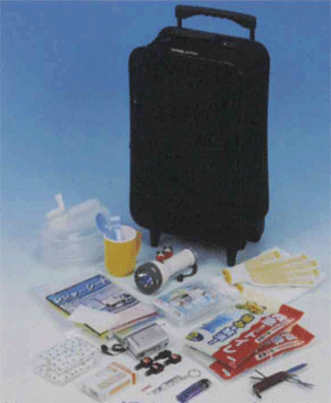 ˤʤ17åȡ꡼Хåɺҥåȡ17