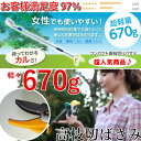 【高枝切り鋏】女性に大人気♪2段伸縮式コンパクト高枝切り鋏【商品到着後レビューを書いて次回使えるクーポンGET】 はさみ 庭 ガーデニング用品/枝切/鋏/園芸/園芸用品/軽量鋏/女性用/軽い/枝 鋏/摘花/高枝切りバサミ 超軽量 伸縮 剪定はさみ