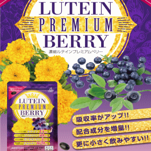 送料無料 【濃縮】ルテイン ビルベリー サプリメント ゴールドベリー 眼精疲労に!
