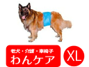 マナーベルト(男の子用失禁パンツ) XL【大型犬用介護用品】【おむつ】【老犬と介護のショップ わんケア】マナーバンドペットグッズ