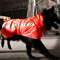 フィンランドのドッグブランド【Hurtta】【フルッタ】 【Life guard series】 Storm hoodie(ストームフーディー) 小型犬用【今なら送料600円→300円!!】ハーネスをした後でも着用可能なレインコート [メール便不可]