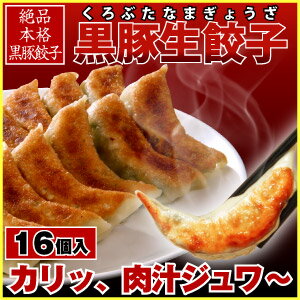 【餃子】【ギョウザ】【ぎょうざ】黒豚生餃子16個入