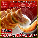 【餃子】王府井のジューシーなもちもちギョウザ【餃子】【ギョウザ】【ぎょうざ】黒豚生餃子16個入 【餃子】王府井のジューシーなもちもちギョウザ【餃子】【ギョウザ】【ぎょうざ】黒豚生餃子16個入