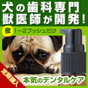 【定期購入】わんこの歯医者さん開発! Dr.YUJIRO デンタルジェル(夜用)※約3カ月分 3000頭以上の犬の歯石除去(歯石取り)を行ってきた獣医師が開発。愛犬、愛猫の歯石にお悩みの飼い主様へ